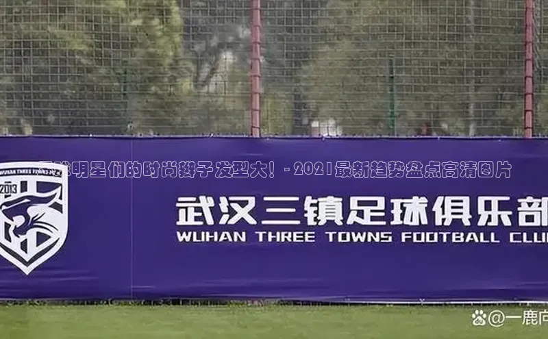 NG28注册平台入口百度智能云足球明星们的时尚辫子发型大！- 2021最新趋势盘点高清图片