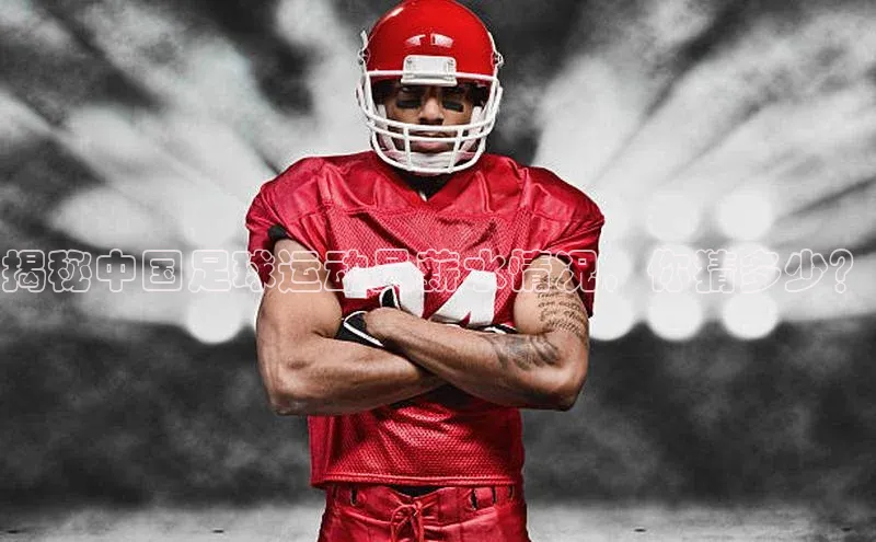 NG28网页版神思电子揭秘中国足球运动员薪水情况，你猜多少？