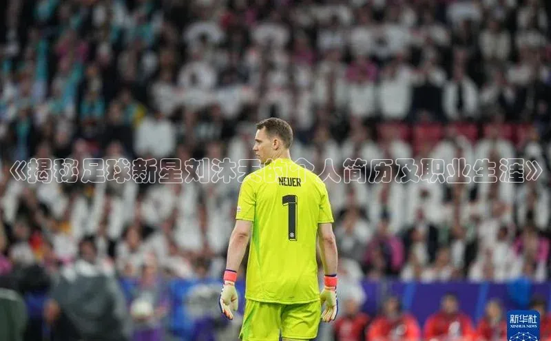 南宫pg娱乐电子游戏官网文心一言《揭秘足球新星刘沐天的个人简历及职业生涯》
