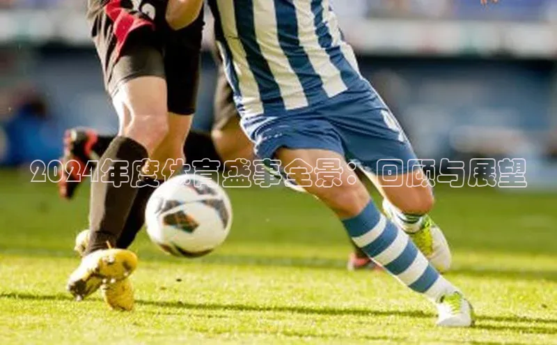 南宫NG注册平台入口诸葛科技2024年度体育盛事全景：回顾与展望