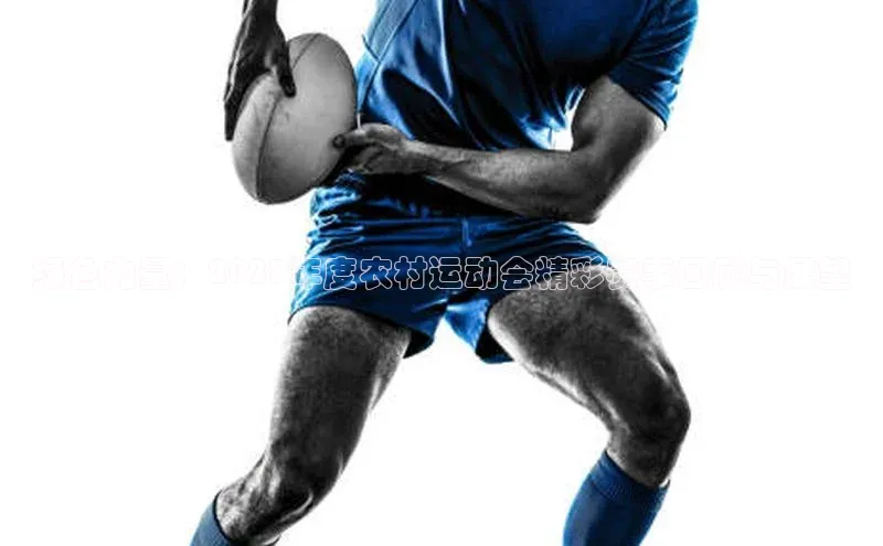 绿色力量：2023年度农村运动会精彩赛事回顾与展望