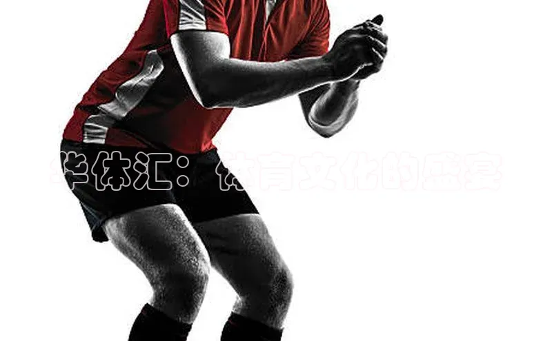 华体汇：体育文化的盛宴