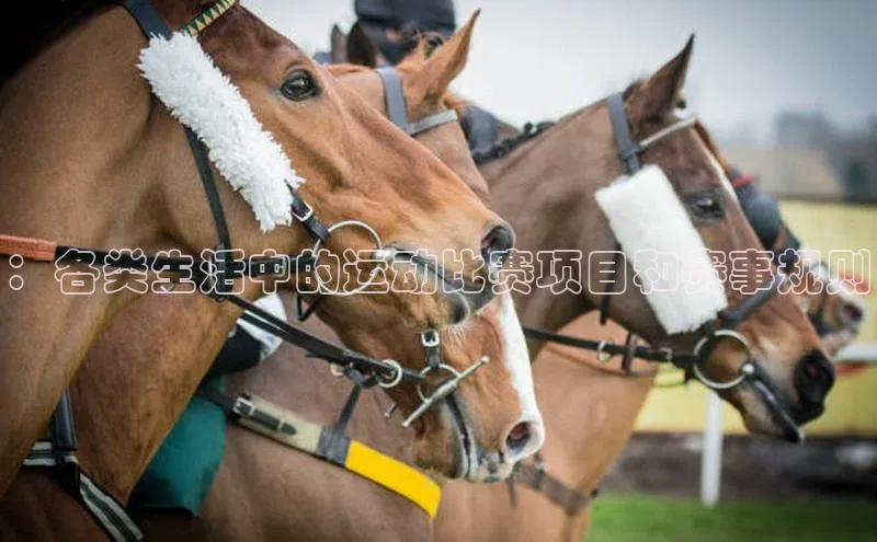 ：各类生活中的运动比赛项目和赛事规则