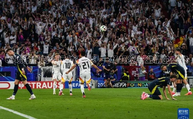 86项全球知名运动赛事：一场视觉与激情的盛宴