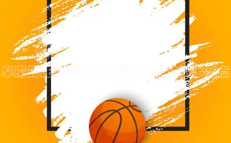 阜南见证激情：近况最火的运动赛事亮点