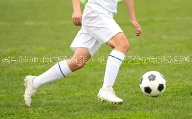 赛马运动中的卓越机制：一场竞争与合作的艺术盛宴