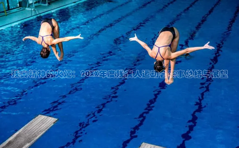 残奥精神的火炬：20XX年度残疾人运动会赛事总结与展望