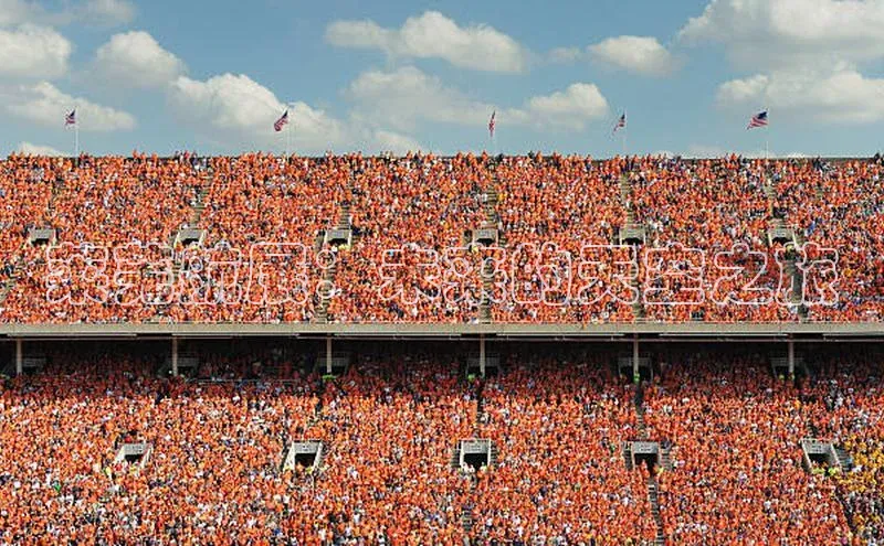 莱芜航展：未来的天空之旅