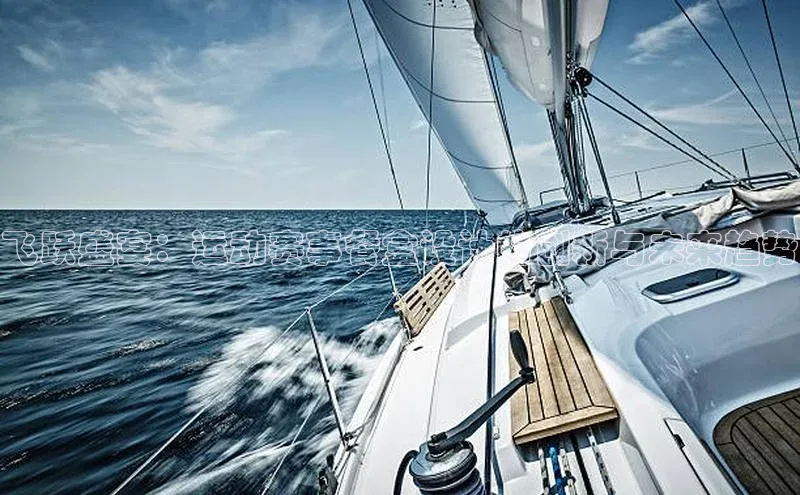 飞跃盛宴：运动赛事餐盒设计的创新与未来趋势