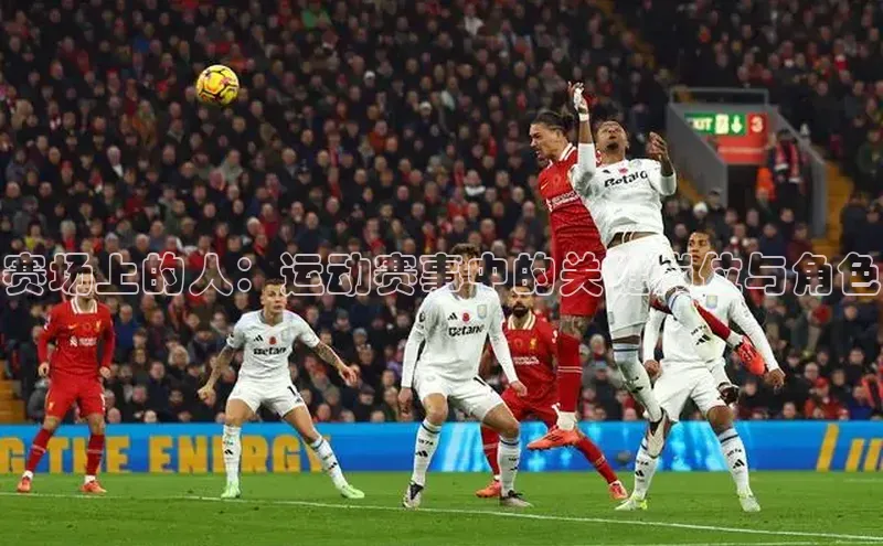 赛场上的人：运动赛事中的关键岗位与角色