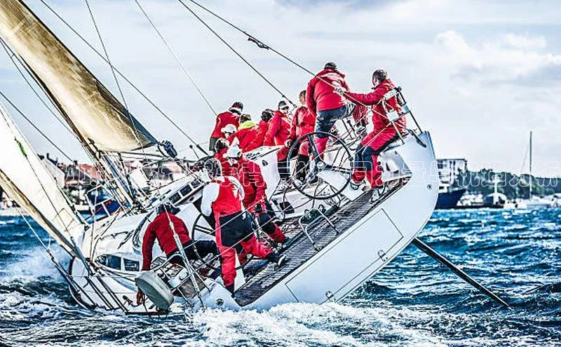 ：赞助顶级运动赛事背后的公司力量与机遇分析